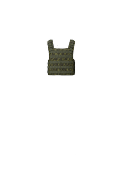 Plate Carrier 