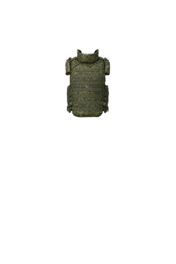 Plate Carrier 